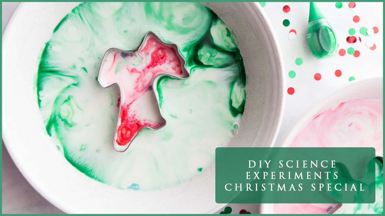 DIY Science Experiments I Christmas Special