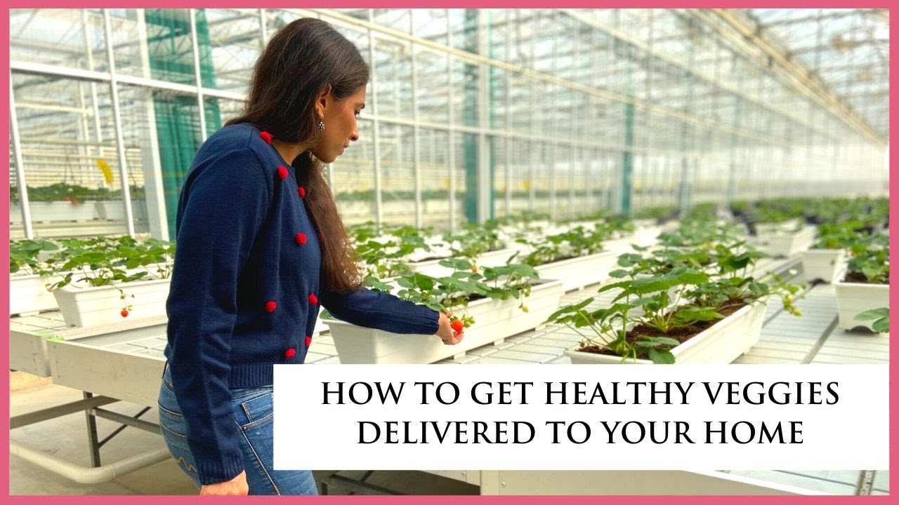 How To Get Healthy Veggies Delivered To Your Home
