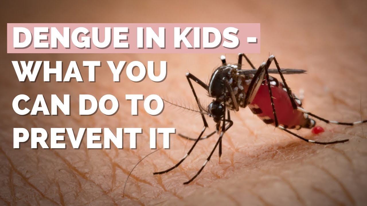 Dengue – Symptoms| Dos & Don’ts | How To Manage It
