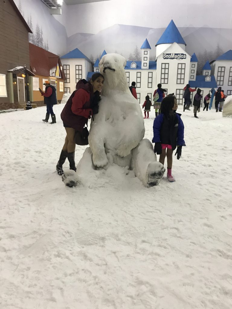 polr bear at snow park imagica