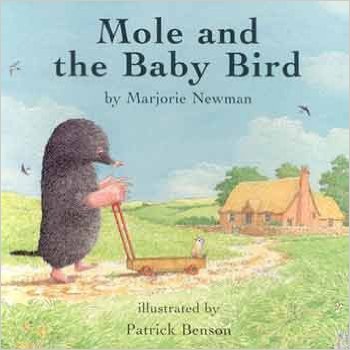 Mole and the Baby Bird _kidsstoppress