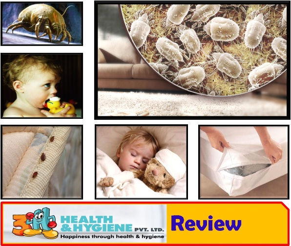 Review 3h health and hygiene expert services for a clean home India