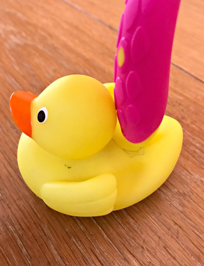rubber duck toothbrush holder