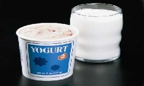 ways to keep kids hydrated- milk and yogurt_globalgujaratnews