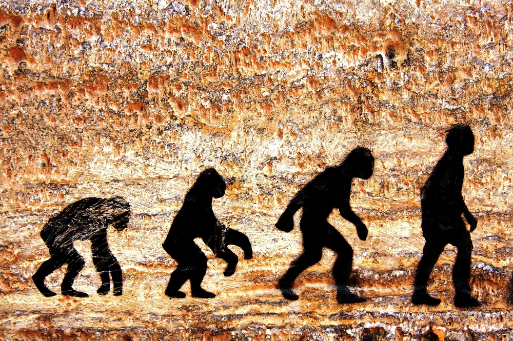 evolution of humans for kids
