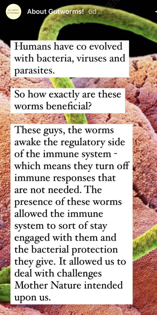 worms in gut