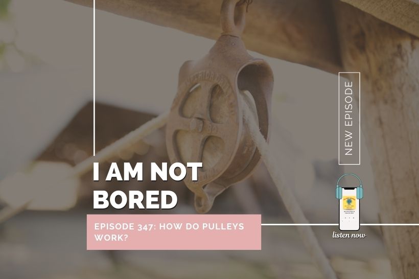 Kidsstoppress-iamnotbored-podcast-images-pulley