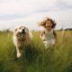 best books on dogs